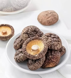 Nuevos Productos de Proveedores de Hongos Comestibles - Hongos Shiitake Secos al por Mayor Disponibles a Precios de Mercado Más Bajos. - Product Image 2