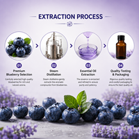 Minyak Konsentrat Aroma Buah Alami Blueberry Grosir untuk Pembuatan Lilin, Sabun, Parfum - Kelas Kosmetik Organik