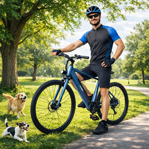 Bicicletta <span class=keywords><strong>Elettrica</strong></span> da Uomo <span class=keywords><strong>28</strong></span> Pollici, <span class=keywords><strong>Bici</strong></span> <span class=keywords><strong>Elettrica</strong></span> da Città per Uomini 250W 25km/h, Certificata EN15194 EU CE - Product Image 3