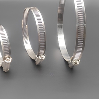 Abrazadera de Manguera de Doble Línea de Acero Galvanizado con Acabado de Zinc Ajustable y Personalizable con Soporte OEM