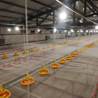 Nouveau système d'alimentation automatique pour volailles galvanisé à chaud certifié ISO9001 pour élevage de poulets