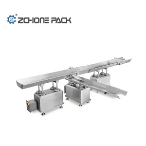 Horizontal Fastback Motion Conveyor for Packing Lines System