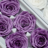 Vente en Gros Naturel Taille Réelle 2-10cm Roses Préservées Immortelles Tête de Fleur Tête de Rose Eternelle Têtes de Fleurs Préservées
