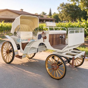 Carruaje Eléctrico Convertible Blanco, el Más Vendido, Personalizable, Carruaje Eléctrico Europeo para Bodas, Parques, Transporte Romántico - Product Image 1