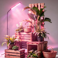 Lampu Tumbuh LED Spektrum Penuh Dapat Diredupkan untuk Sukulen, Kaktus, Bonsai, Rumah Kaca, Lampu Tanaman Dalam Ruangan dengan Timer