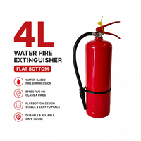 Extincteur à eau pratique de 4 L, base plate, poignée rouge, manomètre, pour la sécurité incendie quotidienne