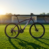 Usine de vélos professionnelle en Chine, Vélo de montagne, Vélo de sport haute performance, Commandes en gros acceptées et faible MOQ