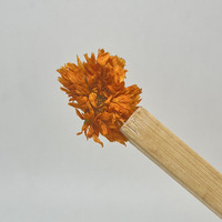 100% fleur de calendula séchée en gros de calendula naturel pour le thé