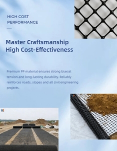 Geogrid de Fibra Plástica para Estabilización de Carreteras, Geogrid Biaxial y Uniaxial para Construcción de Carreteras y Caminos - Product Image 6