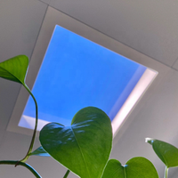 BBIER plafond artificiel soleil rond lucarnes lumière du soleil intérieur LED bleu panneau lumineux