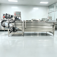 Professionele fruit- en groentewasapparatuur voor gooseberries en passievruchten, spuitreinigingsmachine met spuitmond