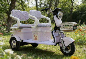 Tricycle à trois roues en acier pour adultes avec moteur à moyeu arrière et 3 vitesses pour personnes âgées - Product Image 2