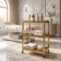 Chariot de Salon de Luxe Doré en Acier Inoxydable à 3 Niveaux, Chariot de Beauté Roulant Robuste pour Cils, Spa, Tatouage, Coiffure avec Roues