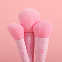 Lot de 10 pinceaux de maquillage de voyage mignons à manche en bois à carreaux roses pour le visage et le correcteur – Kit Premium Marque Privée
