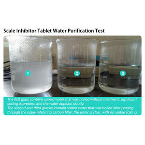 Compresse di inibitori della scala del filtro Anti scala del prodotto per uso alimentare eterno - Product Image 4