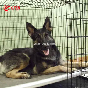 Cama portátil de alta calidad para mascotas, cama elevada portátil de aluminio impermeable para exteriores para mascotas, cama elevada de aluminio para perros - Product Image 4