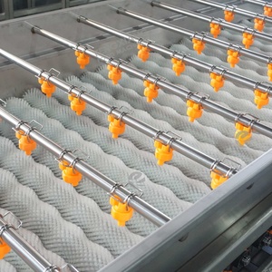 Laveuse-polisseuse à rouleaux pour légumes-racines et fruits (pastèque, pomme, prune, pruneau, pomme de terre) avec brosse souple - Product Image 3