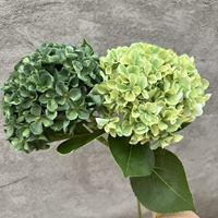Composition florale artificielle en soie d'hortensia 3D à tige unique, de haute qualité, pour centre de table de mariage et décoration intérieure