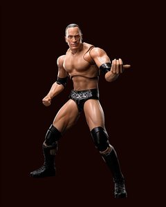 Set di Action Figure da Collezione in Plastica Personalizzate OEM, Wrestling 3D WWE Doubles Competition, Giocattoli Anime - Product Image 5