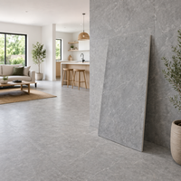 Dalle en pierre frittée grise mate DCT 1200*2600*12mm, imperméable et antidérapante pour la décoration des murs et sols intérieurs