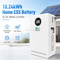 Baterai Penyimpanan Energi Surya LiFePO4 Hybrid Grade A 5.12kWh, Layar Sentuh, Terpasang di Dinding, 51.2V 100Ah 100A PACE BMS, untuk Hunian