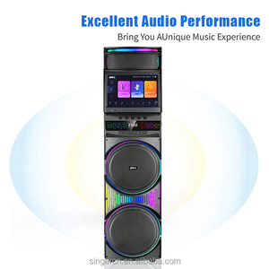 Altoparlante DJ con Doppio Woofer da 12 Pollici, Schermo Display, Grande Potenza TWS, Microfono Wireless GD-1423 - Product Image 3
