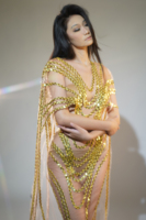 Robe de banquet sexy transparente à paillettes dorées pour femmes enceintes Costume de chanteuse Photoshoot Robe de bal pour femmes, soirée longue