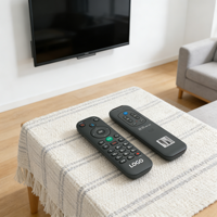 Télécommande universelle intelligente pour téléviseur, remplacement de la télécommande vocale BT, compatible avec les mini-téléviseurs et les boîtiers TV