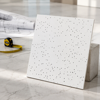 Panneaux de plafond en fibres minérales perforées haute performance |   Conception durable anti-affaissement