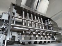 Máquina de Envasado Automática Multilínea para Sobres de Gránulos, Máquina de Envasado de Carbón Activado y Gel de Sílice