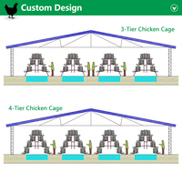 Nouvelles cages automatiques de type A Linchuan pour poulets et cailles, conception à étages, en treillis d'acier galvanisé à chaud 96-160