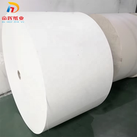 Rouleau de papier en feuille éventail pour gobelets, revêtement PE simple et double, qualité cinq étoiles et Enso, vente directe usine