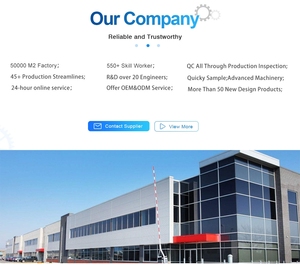 Lớn chúng tôi <span class=keywords><strong>x</strong></span>ây dựng 800 sqm 20x40m 20x30m 20m 10x10 tán kho cho lưu trữ lều - Product Image 6