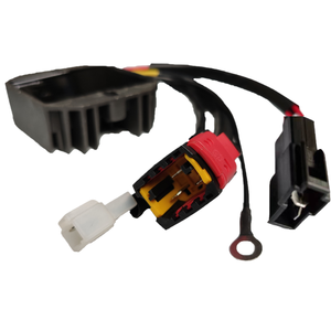 Rectificador para 587356C <span class=keywords><strong>ROYAL</strong></span> <span class=keywords><strong>ENFIELD</strong></span> HIMALAYAN 400, - Product Image 1