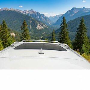 Barres transversales <span class=keywords><strong>de</strong></span> <span class=keywords><strong>toit</strong></span> <span class=keywords><strong>de</strong></span> voiture en acier inoxydable Sunsing, accessoires 4x4, capacité <span class=keywords><strong>de</strong></span> charge <span class=keywords><strong>de</strong></span> 100 kg pour <span class=keywords><strong>Audi</strong></span> <span class=keywords><strong>Q5</strong></span> - Product Image 5