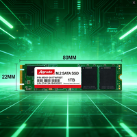 قرص صلب داخلي جديد للخادم M.2 SATA SSD بسعة 1 تيرابايت، الأكثر مبيعًا، متوفر بسعات 128 جيجابايت و256 جيجابايت و512 جيجابايت و2 تيرابايت