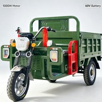 Kart électrique tout-terrain 750W 48V pour adultes avec batterie 20Ah, moteur BLDC, transmission par arbre, buggy des dunes, utilisation en extérieur, 70 km/h, charge 200 kg