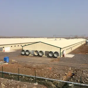 Modern Poultry Farm Chicken Farm Steel Structure Building Light Steel Structure Poultry House