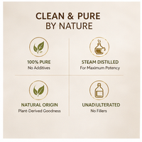 Huile essentielle de gingembre 100% pure et naturelle, qualité aromathérapie premium, pour diffuseur, massage, soin de la peau