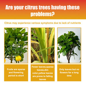 MoonSpry Premium 3-1-2 fertilizante líquido concentrado <span class=keywords><strong>para</strong></span> árboles <span class=keywords><strong>cítricos</strong></span> naranja fruta árbol planta raíz hoja verde belleza - Product Image 3