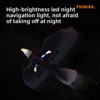 Yuglow 2.4G EPP Avion RC, Jouet Volant Télécommandé, Planeur Aigle pour Enfants, Modèle d'Avion Télécommandé d'Extérieur