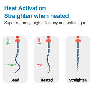 Hoge Kwaliteit Glin Blue Niti Warmte Geactiveerd Hand Gebruik <span class=keywords><strong>Endo</strong></span> Bestanden Tandheelkundig Instrument Voor Boor & Accessoires SX-F3 #25Mm - Product Image 4