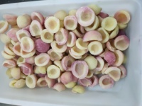 IQF Diepvries Witte Perzikhelften, Gepeld en Ontpit, HACCP Gecertificeerd, Groothandel Diepvries Fruit, Sappige Perzik voor Dranken, Bakkerij & Jam