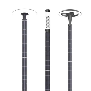 Farola Solar Integrada en Poste Vertical con Módulo Solar de 50W 100W 150W 200W - Product Image 4