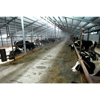 Diseños Planes Cobertizo de vacas lecheras moderno gratuito