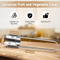 Multifunctionele fruit- en groentepitverwijderaar van roestvrij staal, appelboor voor de keuken