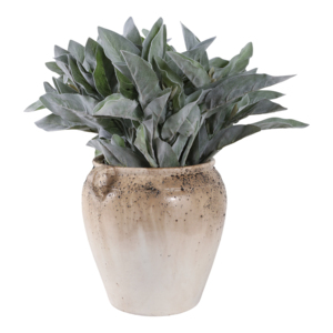 Vaso in terracotta rustico testurizzato con manici per decorare soggiorno, camera da letto e ufficio - Product Image 2