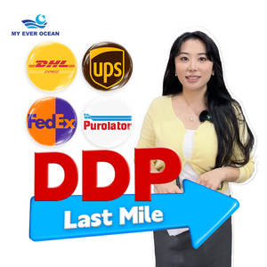 Ooit Oceaan Tarieven Ddp Verzending Deur-Tot-Deur Ddu Service Luchtvracht Verzending Logistiek <span class=keywords><strong>Toronto</strong></span> Express Snelle Levering Naar Canada Usa - Product Image 1