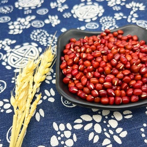 Venta al por Mayor de Frijoles <span class=keywords><strong>Adzuki</strong></span> Grandes, Frijoles Rojos Pequeños, Frijoles de Bambú - Product Image 3