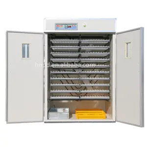 Factory Directly 1056pcs Poultry Chicken Egg Incubator Automatic Solar Energy Egg Incubator